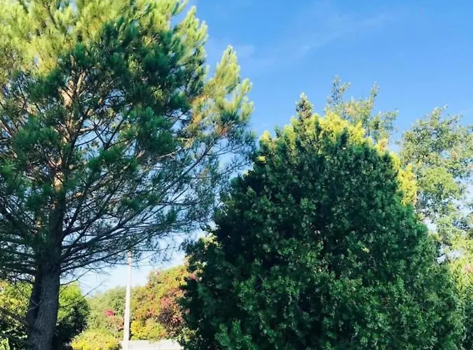 Ca De Anto Lejlighed *